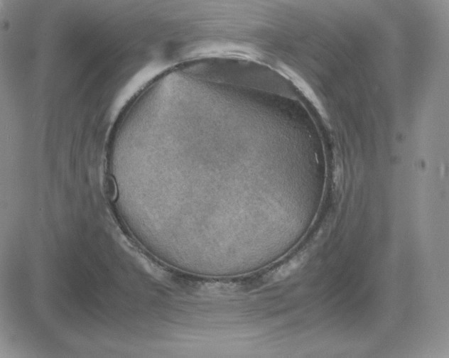 X0000081311277200701251734