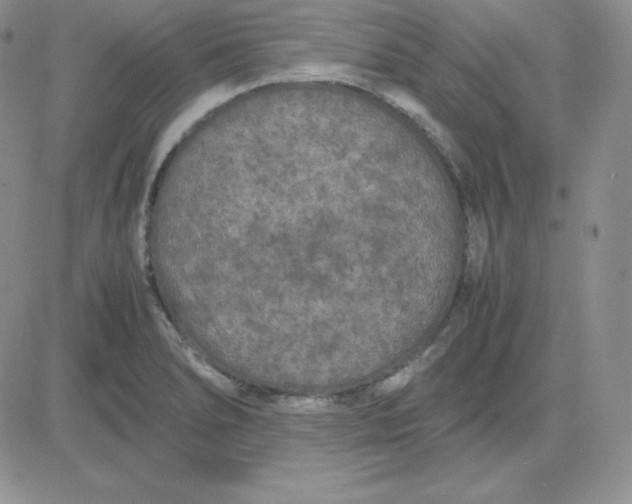 X0000081311278200701251734