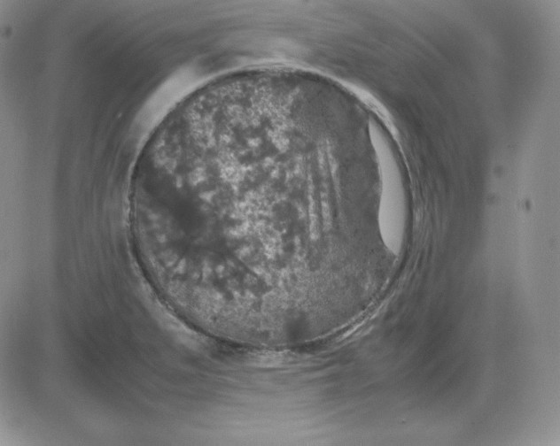 X0000081311279200701251734