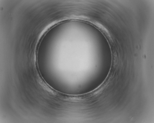 X0000081311280200701251734