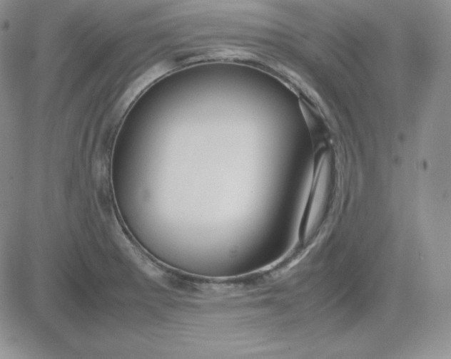 X0000081311281200701251734