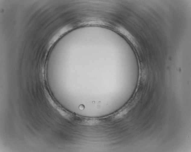 X0000081311282200701251734