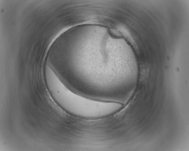 X0000081311284200701251734