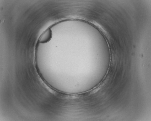 X0000081311286200701251734