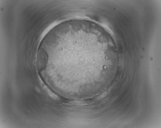 X0000081311287200701251734