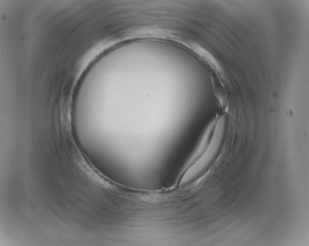 X0000081311288200701251734