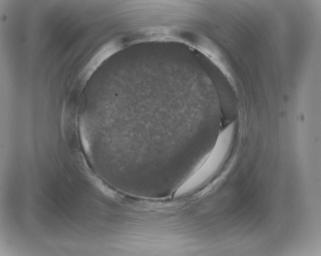 X0000081311289200701251733