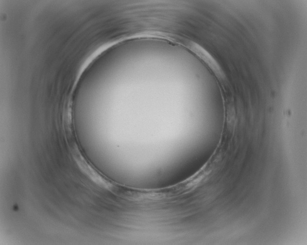 X0000081311292200701251733