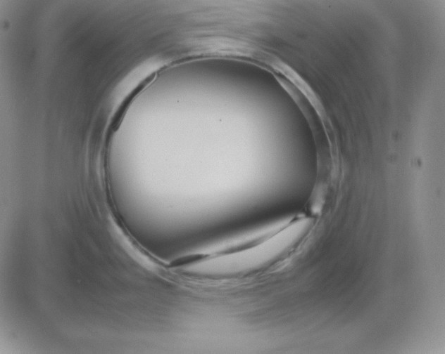 X0000081311293200701251733