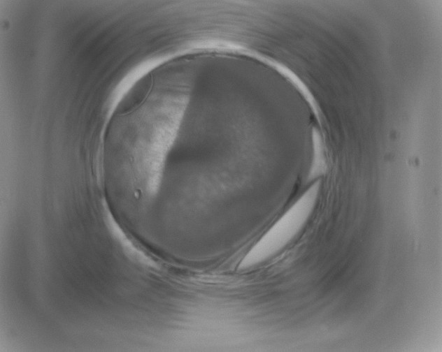 X0000081311295200701251733