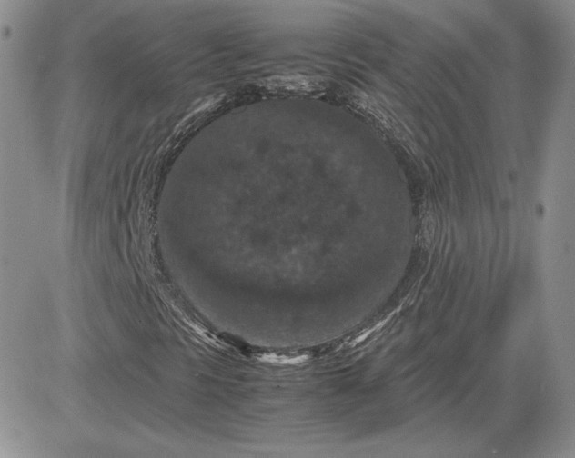 X0000081311297200701251733