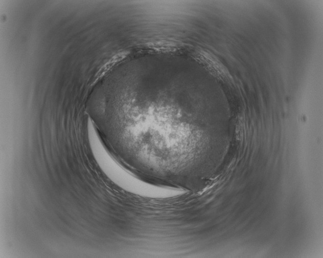 X0000081311298200701251733