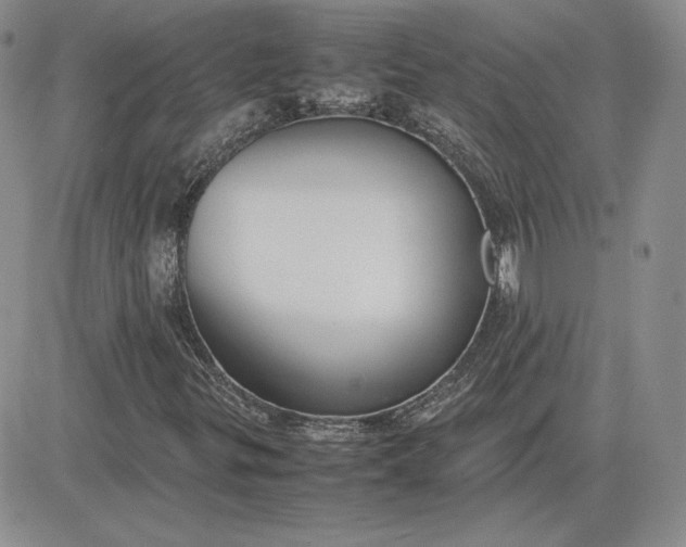 X0000081311299200701251733