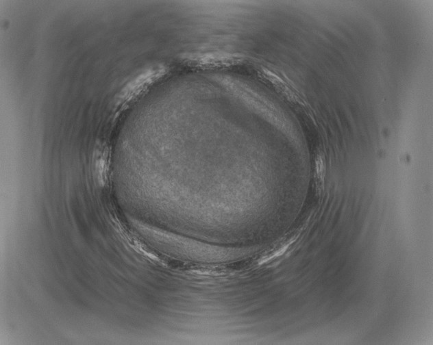 X0000081311300200701251733