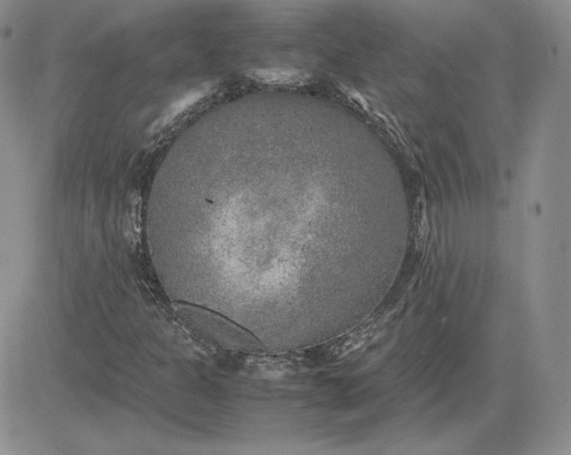 X0000081311301200701251733