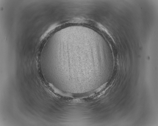 X0000081311304200701251733