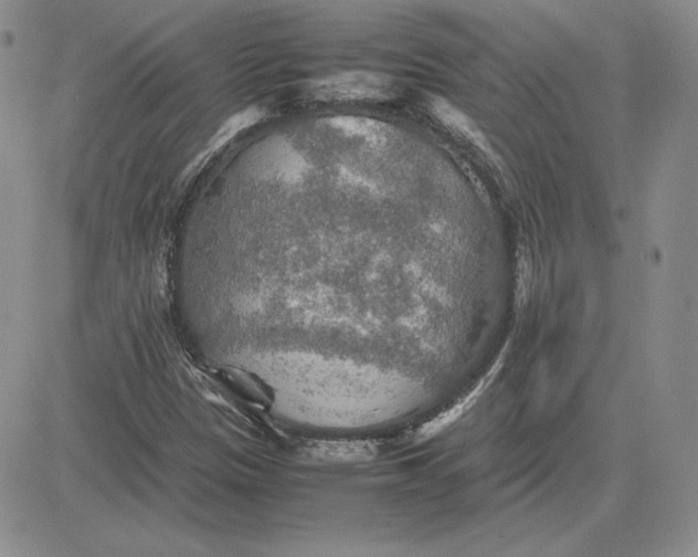 X0000081311305200701251733