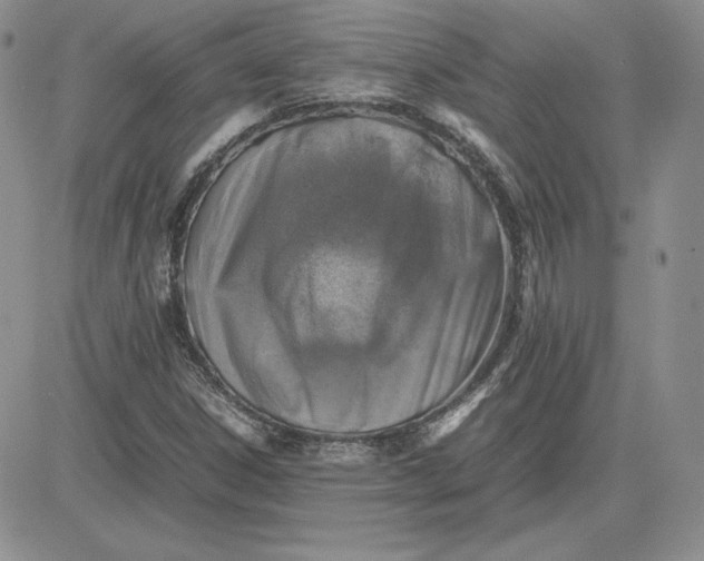 X0000081311306200701251733