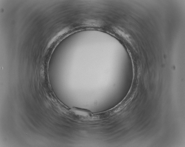 X0000081311307200701251733