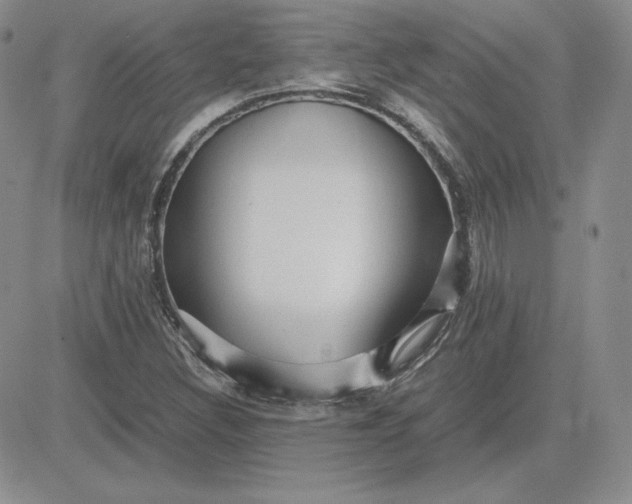 X0000081311308200701251733