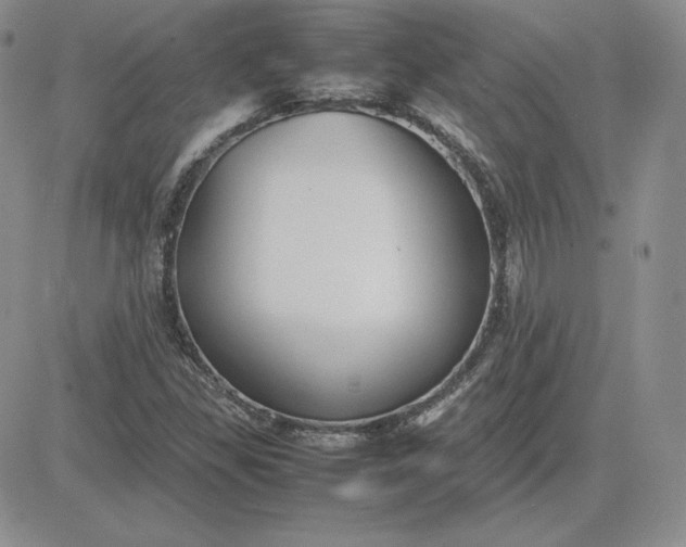 X0000081311309200701251733