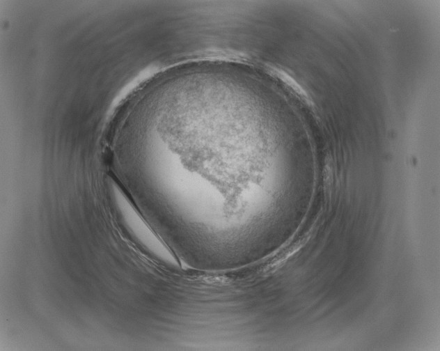 X0000081311310200701251733