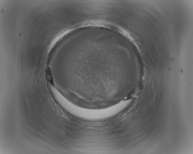 X0000081311312200701251733