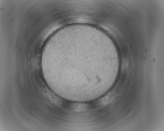 X0000081311314200701251733