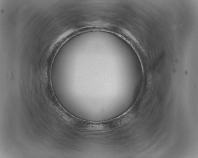 X0000081311315200701251733