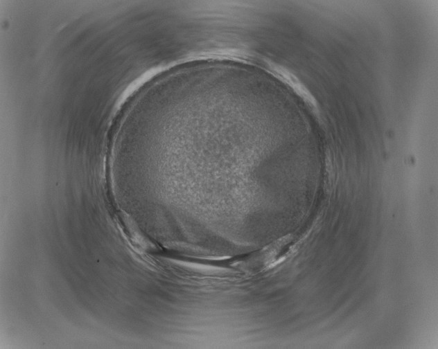 X0000081311316200701251733