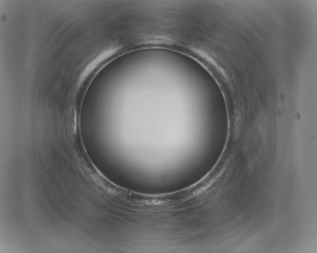 X0000081311317200701251733