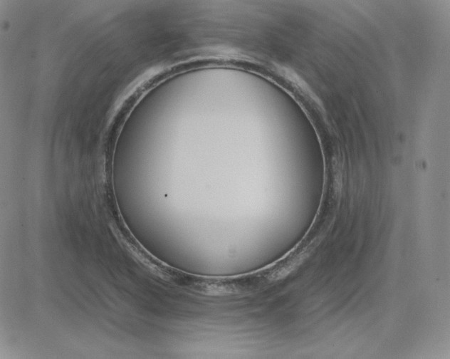 X0000081311318200701251733