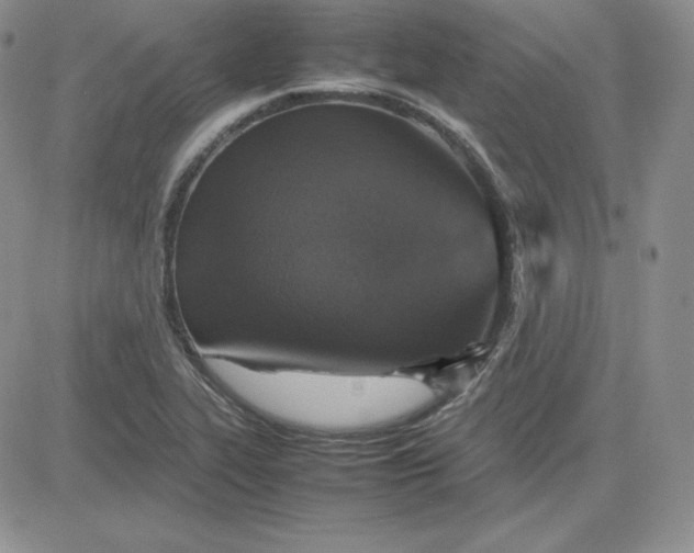 X0000081311319200701251733