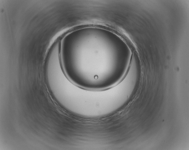 X0000081311320200701251733