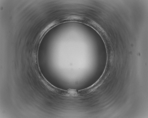 X0000081311321200701251733