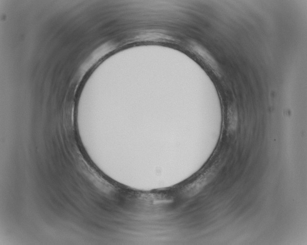 X0000081311322200701251733