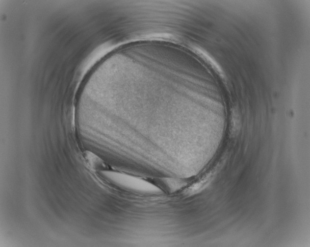 X0000081311324200701251733