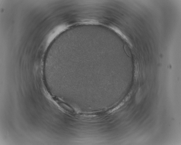 X0000081311325200701251733