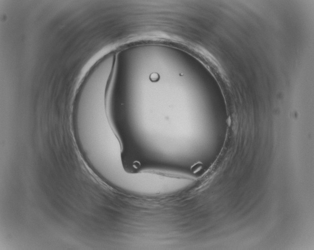 X0000081311326200701251733