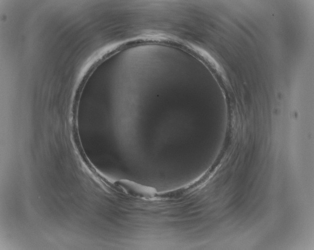 X0000081311327200701251733