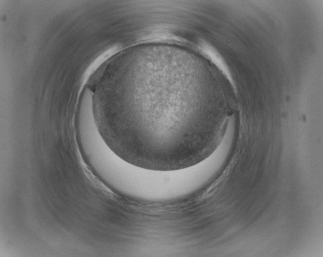 X0000081311330200701251733