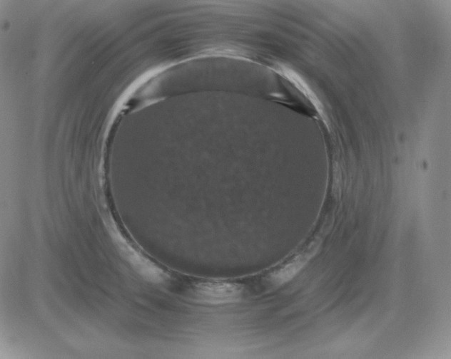 X0000081311331200701251733