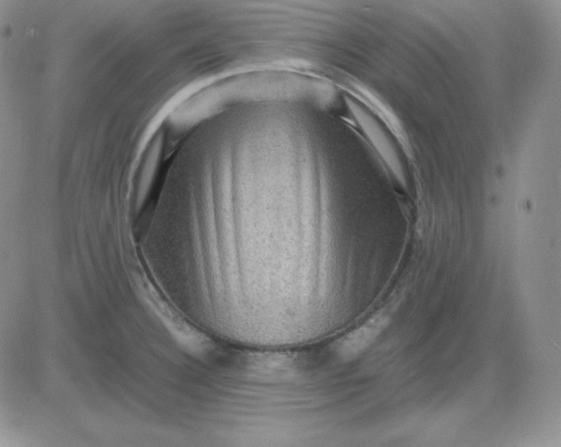 X0000081311332200701251733