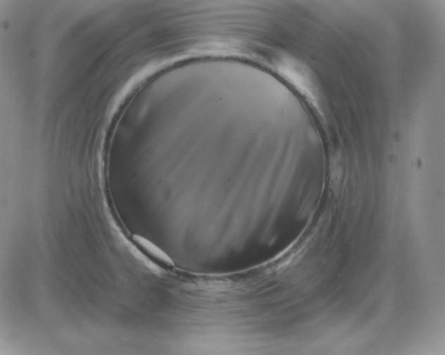 X0000081311334200701251733