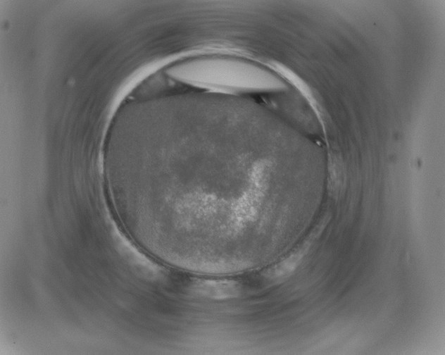 X0000081311335200701251733