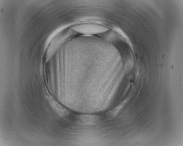 X0000081311336200701251733