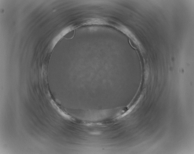 X0000081311337200701251733