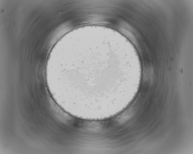 X0000081311338200701251733