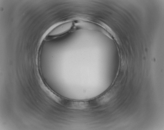 X0000081311339200701251733