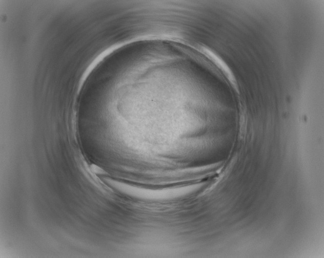 X0000081311340200701251733